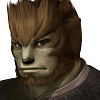 Avatars-FF11-FFFury (14).gif